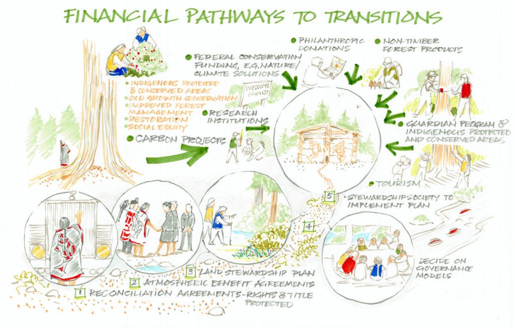 Financial Pathways to Transitions